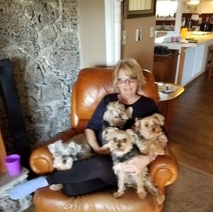 Meet your Posher, Sheila